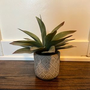 faux plant